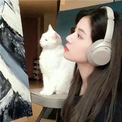 小可爱与拳击手